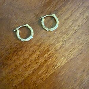 Elegant Gold Hoop Earrings